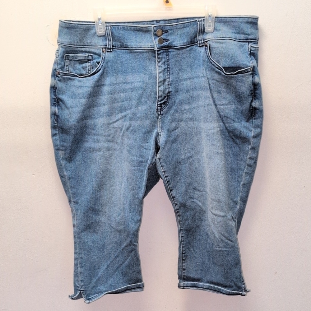 Lane Bryant Classic Blue Denim